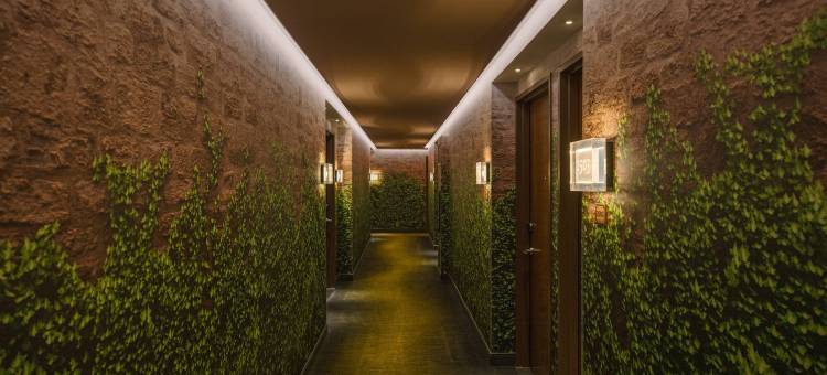 纽约切尔西万丽酒店(Renaissance New York Chelsea Hotel)图片