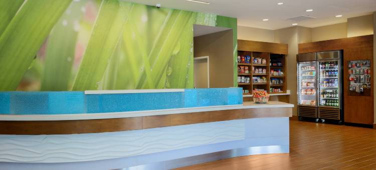 圣何塞机场SpringHill Suites酒店(SpringHill Suites San Jose Airport)图片