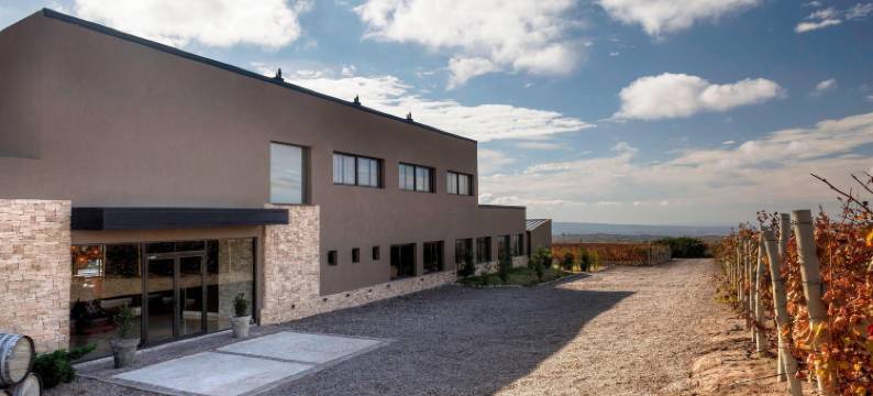 图蓬加托奥贝吉尔杜文酒店-臻品之选(Auberge du Vin, a Tribute Portfolio Hotel, Tupungato)图片