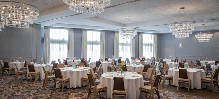 梅泰里新奥尔良喜来登酒店(Sheraton Metairie - New Orleans Hotel)图片