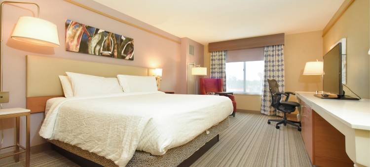 萨拉托加泉希尔顿花园酒店(Hilton Garden Inn Saratoga Springs)图片