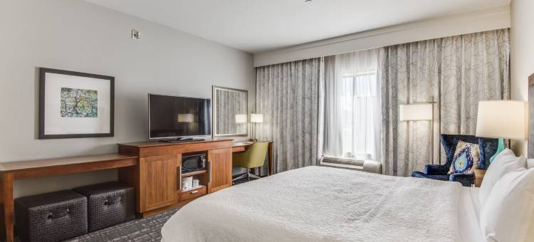 达拉斯/沃斯堡机场南欢朋套房酒店(Hampton Inn & Suites Dallas/Ft. Worth Airport South)图片