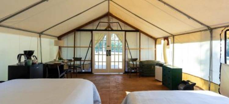 Cozy Nights Glamping by Sam Houston National Park图片