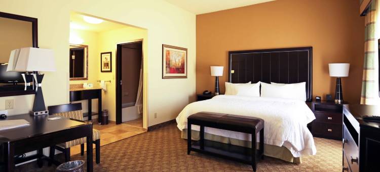 麦卡莱斯特希尔顿欢朋旅馆&套房酒店(Hampton Inn & Suites McAlester)图片
