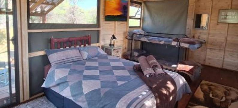 托恩树林露营酒店(Thorn Tree Bush Camp)图片