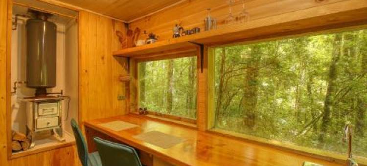 Casita Arbol图片