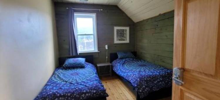 23枫(23Maple)图片