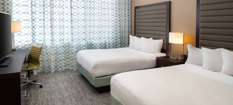 圣路易斯市中心希尔顿安泊酒店(Embassy Suites by Hilton St. Louis Downtown)图片