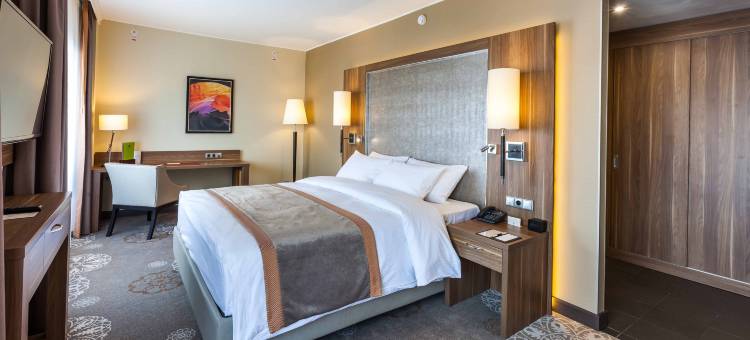 秋明希尔顿逸林酒店(DoubleTree by Hilton Hotel Tyumen)图片