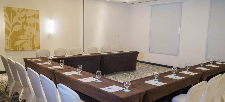 巴拿马城中心希尔顿花园酒店(Hilton Garden Inn Panama City Downtown)图片