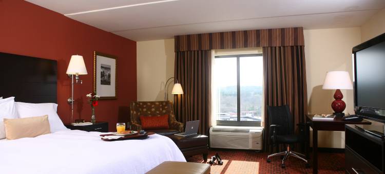 亚特兰大-诺斯莱克欢朋酒店(Hampton Inn Atlanta-Canton)图片