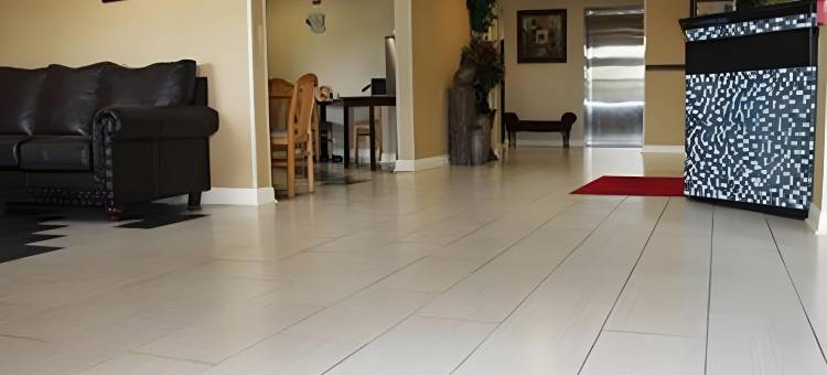 纳基伊克诺旅馆及套房(Econo Lodge Inn & Suites Natchitoches)图片