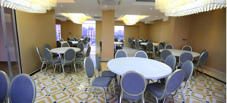 达卡繁花酒店(Blossom Hotel Dhaka)图片