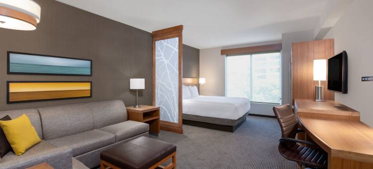 圣若泽机场凯悦嘉轩酒店(Hyatt Place San Jose Airport)图片