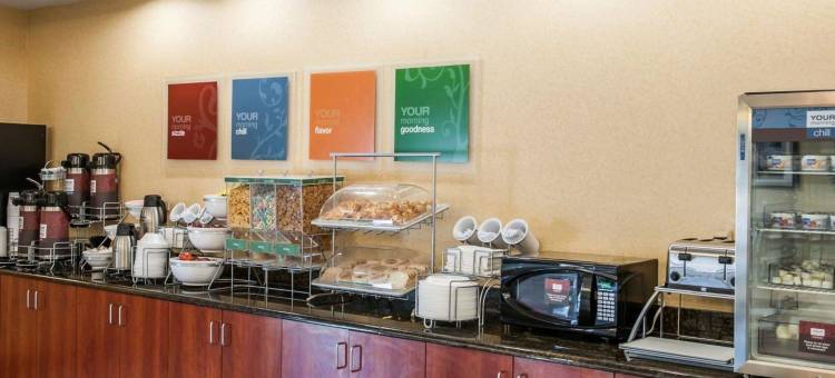 舒适套房酒店-近印第安纳波利斯机场(Comfort Suites Near Indianapolis Airport)图片