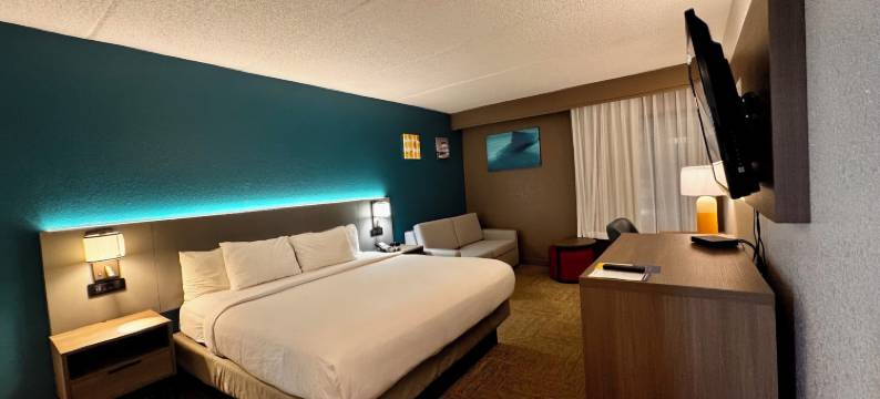 舒适酒店(Comfort Inn)图片