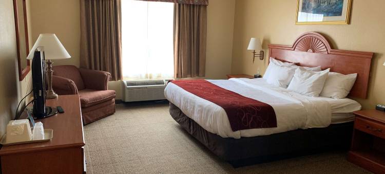 梅斯基特贝斯特韦斯特SureStay Plus酒店(SureStay Plus Hotel by Best Western Mesquite)图片