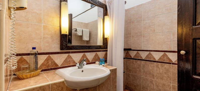 森特林城堡皇家酒店(Sentrim Castle Royal Hotel)图片