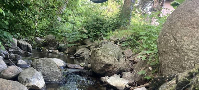 瑞士丹斯瓦豪小屋(Residens Svalhøj)图片