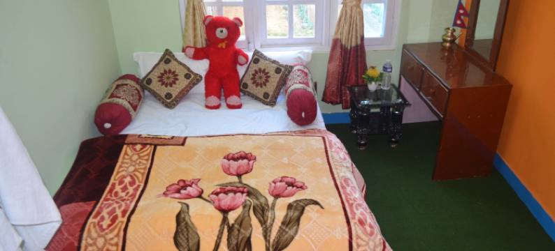 达哈切克家庭旅馆(Dahachok Homestay)图片