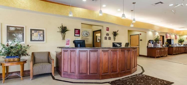 南萨莱纳舒适套房酒店(Comfort Suites Salina South)图片