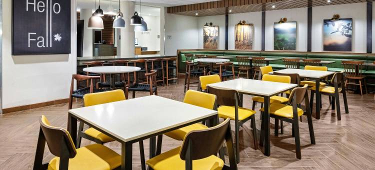 昆斯伯里-格伦斯福尔斯/乔治湖地区万枫酒店及套房(Fairfield Inn & Suites Queensbury Glens Falls/Lake George Area)图片