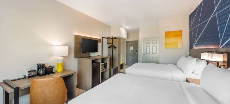 舒适套房酒店贝尔顿圣殿南 I-35(Comfort Inn & Suites Belton Temple South I-35)图片