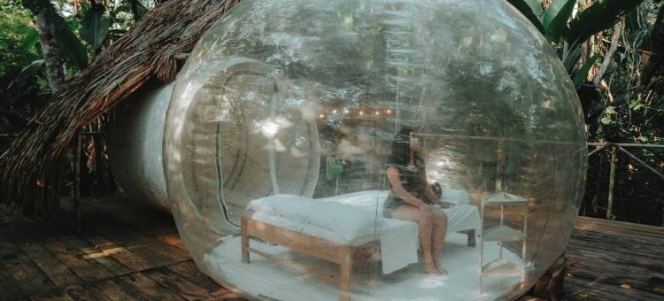 亚马逊营舍(Glamping Amazonas)图片