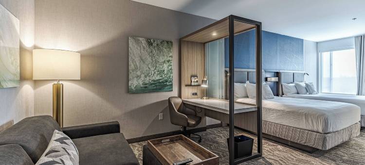 韦恩堡北SpringHill Suites酒店(SpringHill Suites Fort Wayne North)图片