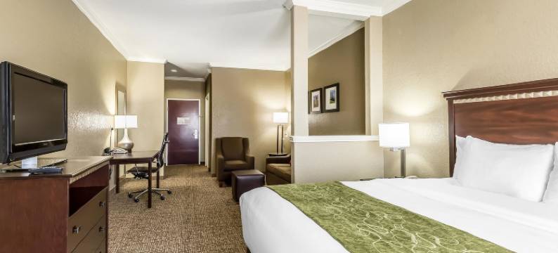 休斯顿IAH机场环城公路8舒适套房酒店(Comfort Suites Houston IAH Airport - Beltway 8)图片