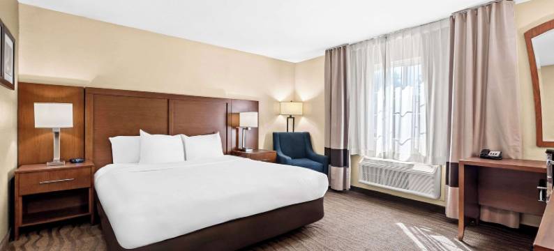 莫德斯托舒适酒店(Comfort Inn Modesto)图片