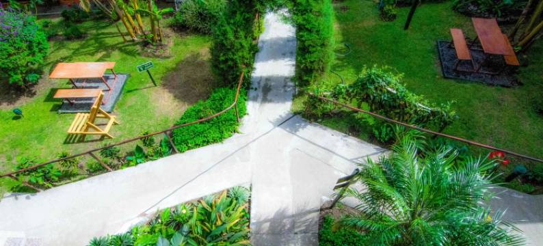 翠柏酒店(Hotel Cipreses)图片