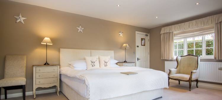 黑马旅店(Black Horse Inn)图片