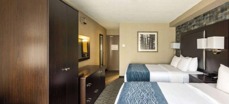舒适酒店-蒙特娄机场(Comfort Inn Montreal Aeroport)图片