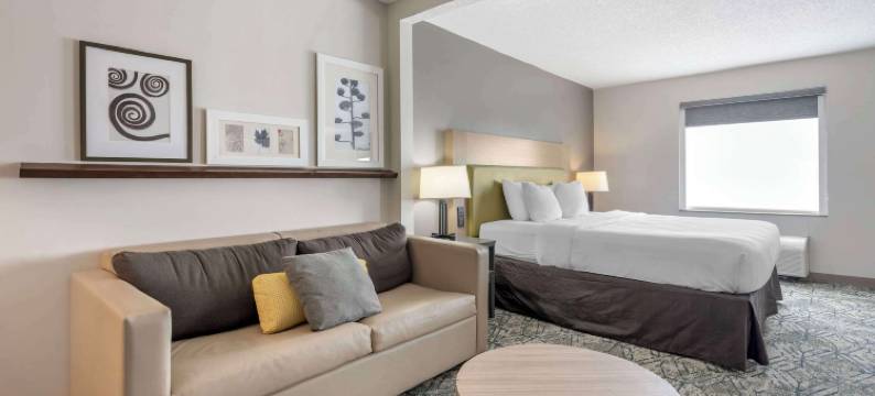 丽笙乡村套房酒店，代顿南，俄亥俄州(Country Inn & Suites by Radisson, Dayton South, Oh)图片