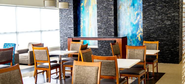 蒙特雷圣佩德罗舒眠酒店(Sleep Inn Monterrey San Pedro)图片