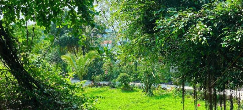 图耶特家庭旅馆(Tuyet's Homestay)图片