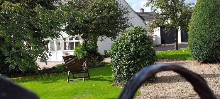 白房子旅馆(The White House Guest House)图片