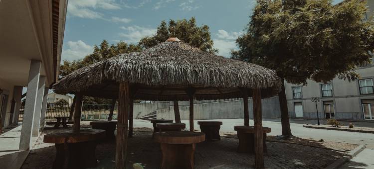 金塔多斯赛德鲁斯酒店(Hotel Quinta Dos Cedros)图片