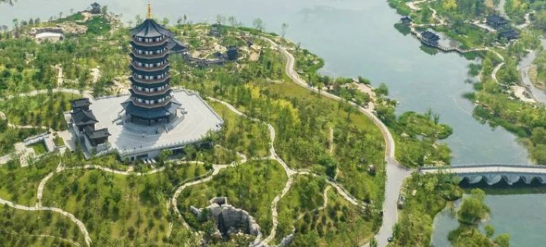 雄县梧桐树民宿(人民大街分店)图片