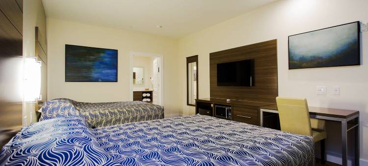 盖斯纳布鲁US-59宫殿旅馆(Palace Inn Blue US-59 & Gessner)图片