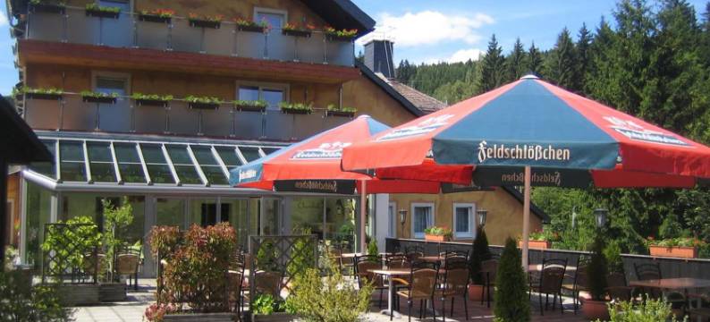 拉登明勒酒店(Hotel Ladenmühle)图片