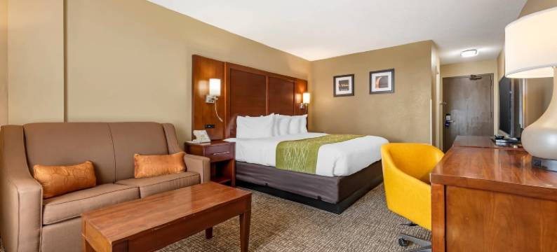 MSP机场美国购物中心舒适酒店(Comfort Inn MSP Airport - Mall of America)图片