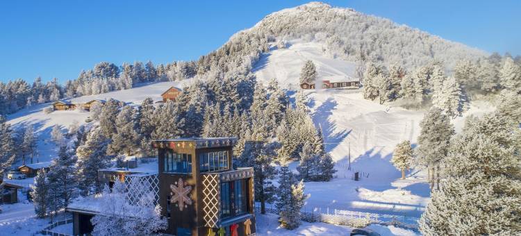 萨凡伦山区 Spa 酒店(Savalen Fjellhotell & Spa)图片