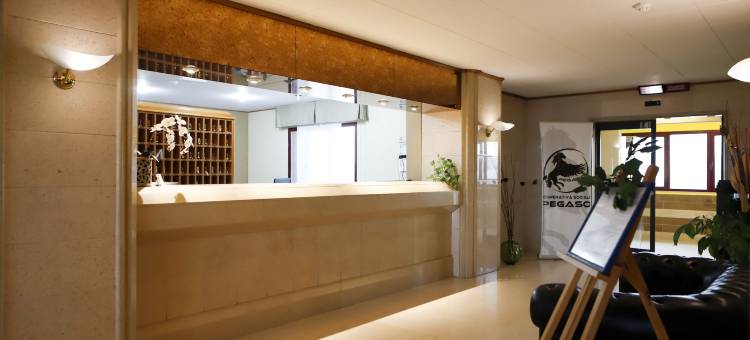 佩格瑟斯酒店(Pegasus Hotel)图片