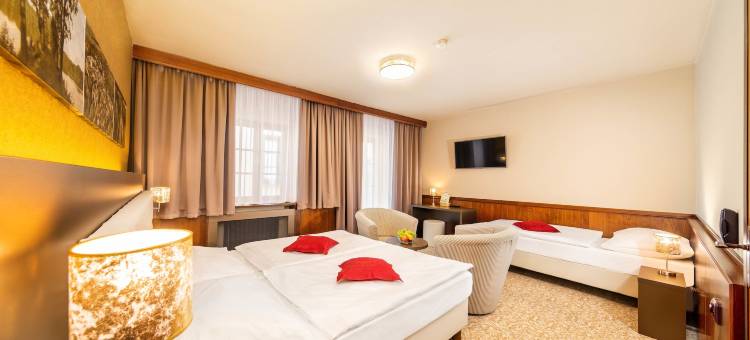 黄金之星酒店(Hotel Zlatá hvězda)图片