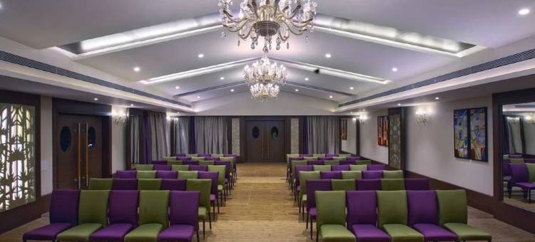 紫色棕榈水疗度假村(Purple Palms Resort & Spa)图片