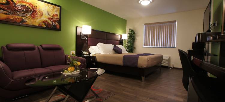 廸日美斯酒店(Dreamz Inn)图片