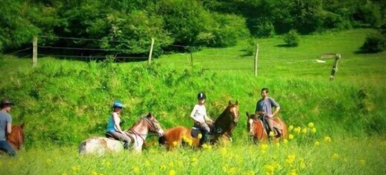 欧梅尼尔乐巴斯布雷酒店(Au Mesnil le Bas Bray)图片