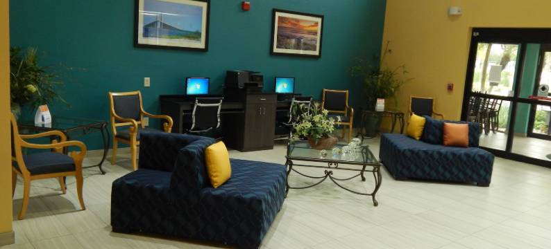 舒适套房酒店-坦帕布兰登(Comfort Suites Tampa - Brandon)图片